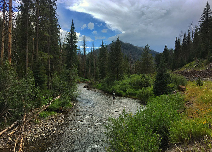 wyoming-trout-guides-yellowstone