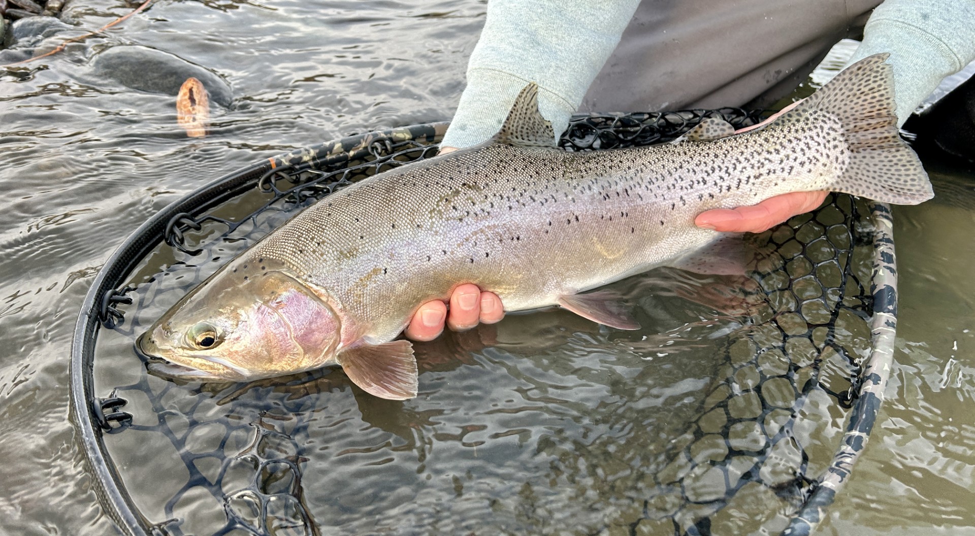 FISHING REPORT MARCH 13th 2025 Wyoming Trout Guides Thumbnail IMG 2514